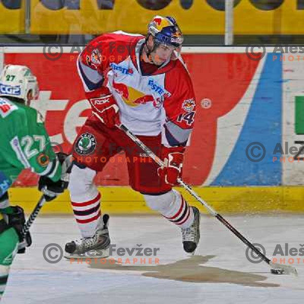 Green at ice hockey game ZM Olimpija- Red Bull Salzburg in 11th round of EBEL league,played in Ljubljana 21.10.2007. Photo by Ales Fevzer 
