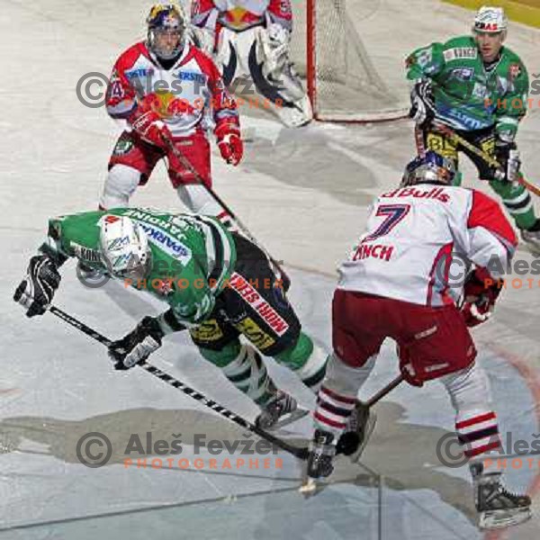 Jardine and Lynch (7) at ice hockey game ZM Olimpija- Red Bull Salzburg in 11th round of EBEL league,played in Ljubljana 21.10.2007. Photo by Ales Fevzer 