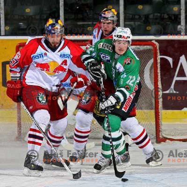 Jardine (12) at ice hockey game ZM Olimpija- Red Bull Salzburg in 11th round of EBEL league,played in Ljubljana 21.10.2007. Photo by Ales Fevzer 
