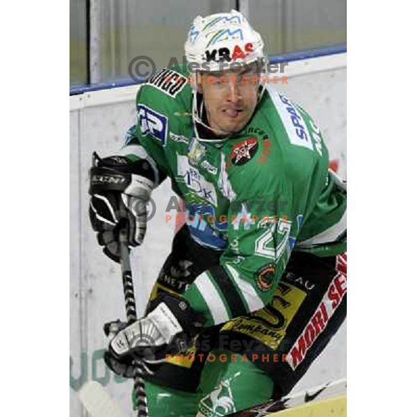 McCarthy at ice hockey game ZM Olimpija- Red Bull Salzburg in 11th round of EBEL league,played in Ljubljana 21.10.2007. Photo by Ales Fevzer 