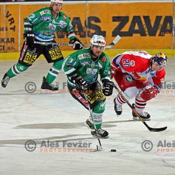 Mitchell (2) and Welser (20) at ice hockey game ZM Olimpija- Red Bull Salzburg in 11th round of EBEL league,played in Ljubljana 21.10.2007. Photo by Ales Fevzer 