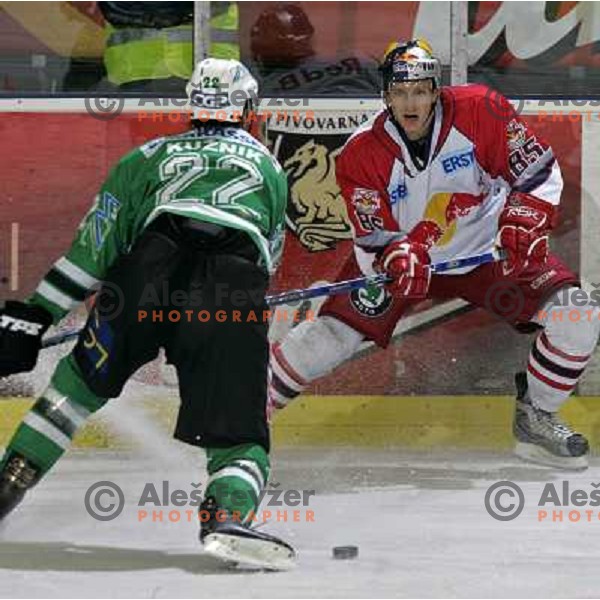 Pinter (85) at ice hockey game ZM Olimpija- Red Bull Salzburg in 11th round of EBEL league,played in Ljubljana 21.10.2007. Photo by Ales Fevzer 