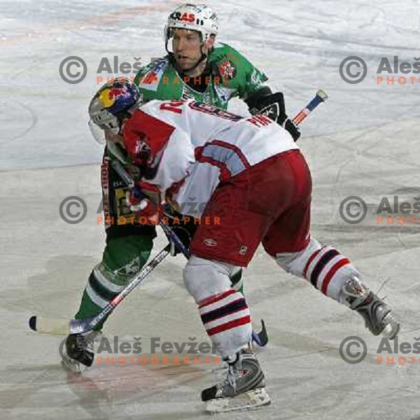 Corupe and Pinter at ice hockey game ZM Olimpija- Red Bull Salzburg in 11th round of EBEL league,played in Ljubljana 21.10.2007. Photo by Ales Fevzer 