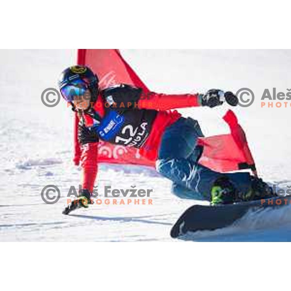 Julia Dujmovits during the Rogla FIS Snowboard World Cup 2016/17 parallel giant slalom, Rogla, Slovenia, on January 28, 2017.