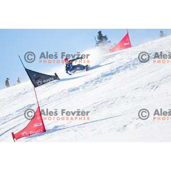 Zan Kosir during the Rogla FIS Snowboard World Cup 2016/17 parallel giant slalom, Rogla, Slovenia, on January 28, 2017.