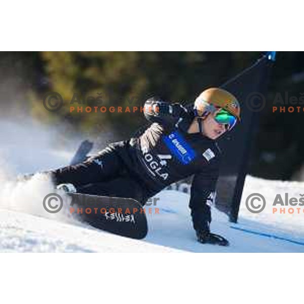 Sang-Ho Lee during the Rogla FIS Snowboard World Cup 2016/17 parallel giant slalom, Rogla, Slovenia, on January 28, 2017.