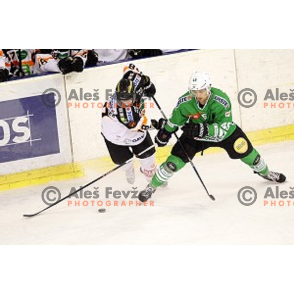 Ken Ograjensek of Graz and Maks Selan of Olimpija Ljubljana fights during ice-hockey match between Olimpija Ljubljana and Graz Moser Medical 99ers in EBEL league 2016/2017 in Tivoli Hall, Ljubljana, Slovenia on January 29, 2017