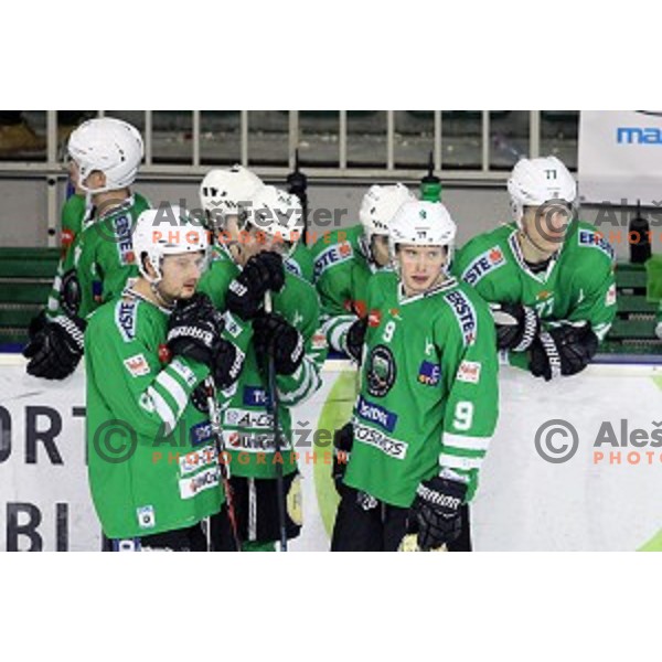 of Olimpija Ljubljana in action during ice-hockey match between Olimpija Ljubljana and Graz Moser Medical 99ers in EBEL league 2016/2017 in Tivoli Hall, Ljubljana, Slovenia on January 29, 2017
