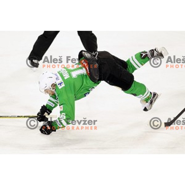 Ales Music of Olimpija Ljubljana in action during ice-hockey match between Olimpija Ljubljana and Graz Moser Medical 99ers in EBEL league 2016/2017 in Tivoli Hall, Ljubljana, Slovenia on January 29, 2017