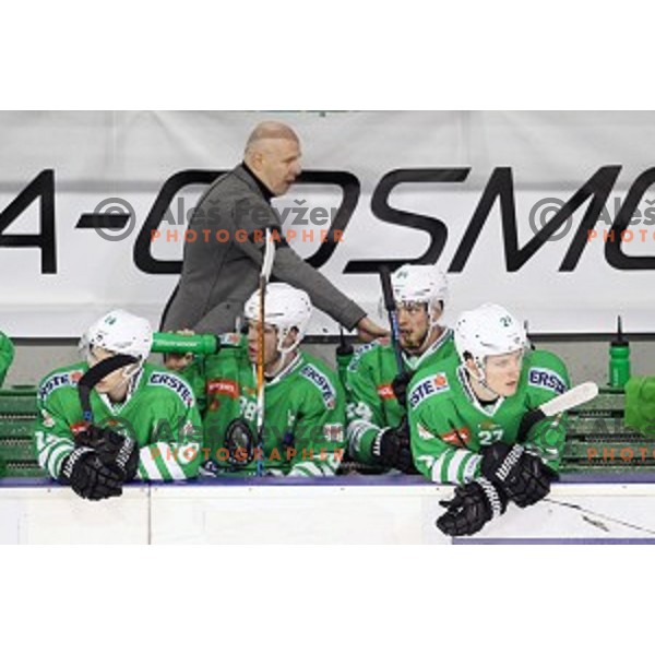of Olimpija Ljubljana in action during ice-hockey match between Olimpija Ljubljana and Graz Moser Medical 99ers in EBEL league 2016/2017 in Tivoli Hall, Ljubljana, Slovenia on January 29, 2017