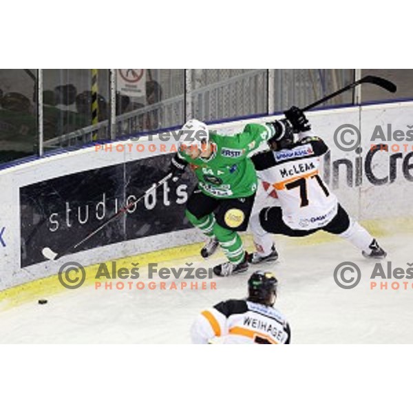 of Olimpija Ljubljana in action during ice-hockey match between Olimpija Ljubljana and Graz Moser Medical 99ers in EBEL league 2016/2017 in Tivoli Hall, Ljubljana, Slovenia on January 29, 2017