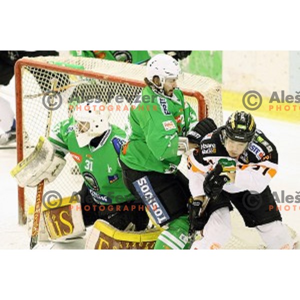 of Olimpija Ljubljana in action during ice-hockey match between Olimpija Ljubljana and Graz Moser Medical 99ers in EBEL league 2016/2017 in Tivoli Hall, Ljubljana, Slovenia on January 29, 2017