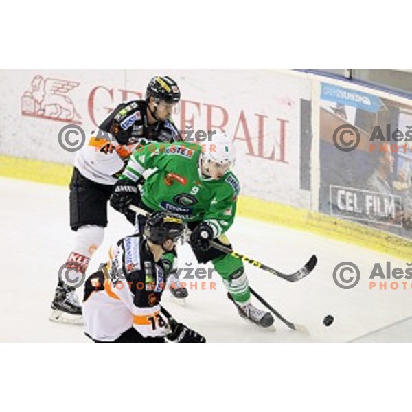 of Olimpija Ljubljana in action during ice-hockey match between Olimpija Ljubljana and Graz Moser Medical 99ers in EBEL league 2016/2017 in Tivoli Hall, Ljubljana, Slovenia on January 29, 2017