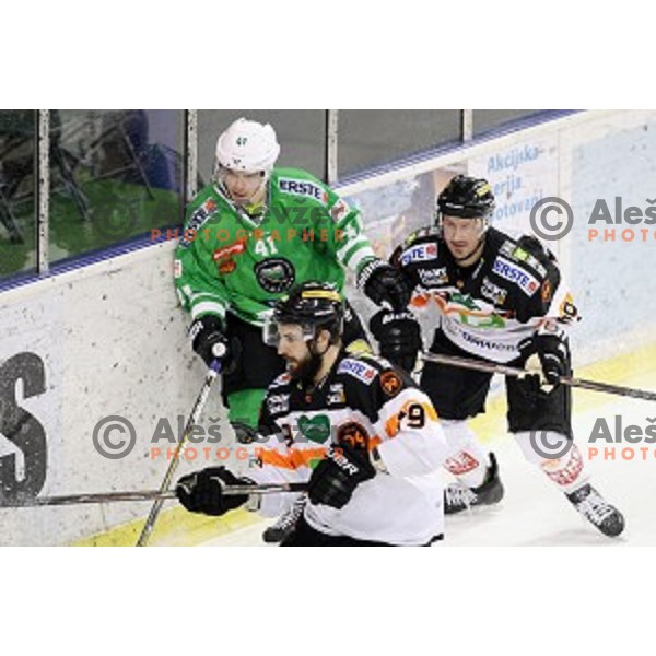 of Olimpija Ljubljana in action during ice-hockey match between Olimpija Ljubljana and Graz Moser Medical 99ers in EBEL league 2016/2017 in Tivoli Hall, Ljubljana, Slovenia on January 29, 2017
