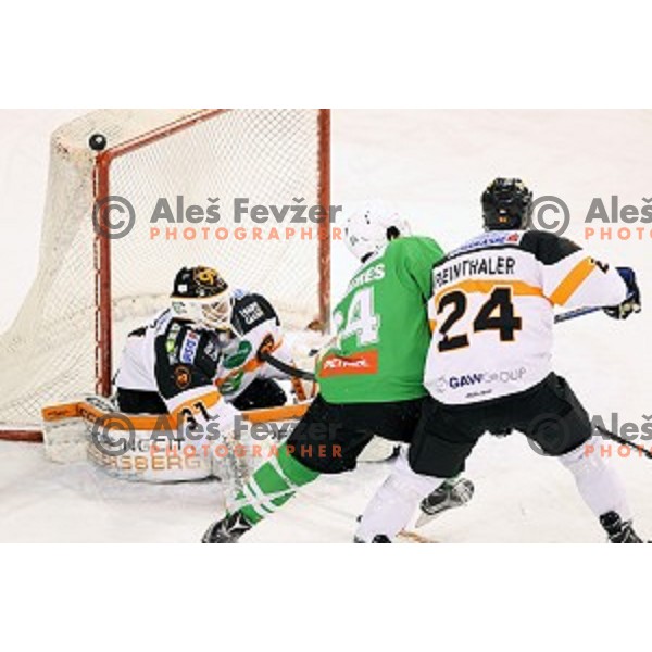 of Olimpija Ljubljana in action during ice-hockey match between Olimpija Ljubljana and Graz Moser Medical 99ers in EBEL league 2016/2017 in Tivoli Hall, Ljubljana, Slovenia on January 29, 2017