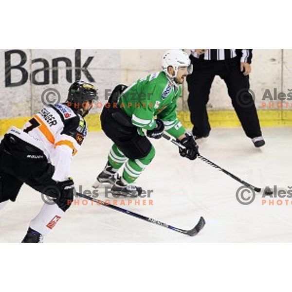 of Olimpija Ljubljana in action during ice-hockey match between Olimpija Ljubljana and Graz Moser Medical 99ers in EBEL league 2016/2017 in Tivoli Hall, Ljubljana, Slovenia on January 29, 2017