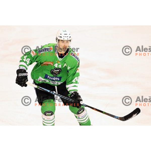 of Olimpija Ljubljana in action during ice-hockey match between Olimpija Ljubljana and Graz Moser Medical 99ers in EBEL league 2016/2017 in Tivoli Hall, Ljubljana, Slovenia on January 29, 2017