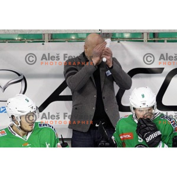 of Olimpija Ljubljana in action during ice-hockey match between Olimpija Ljubljana and Graz Moser Medical 99ers in EBEL league 2016/2017 in Tivoli Hall, Ljubljana, Slovenia on January 29, 2017