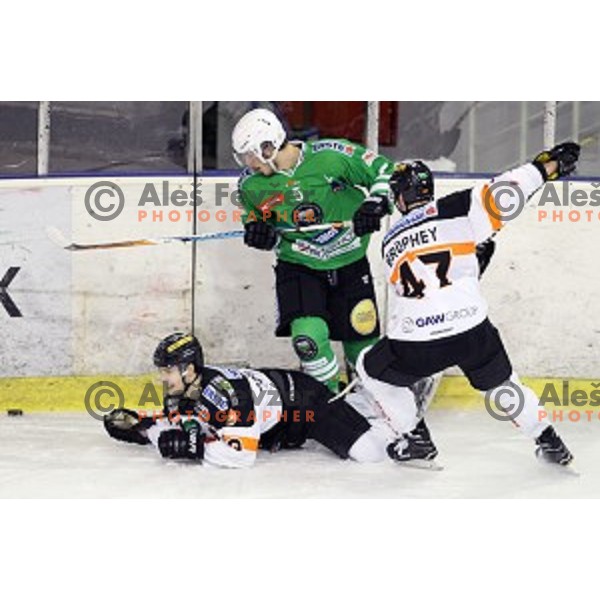 of Olimpija Ljubljana in action during ice-hockey match between Olimpija Ljubljana and Graz Moser Medical 99ers in EBEL league 2016/2017 in Tivoli Hall, Ljubljana, Slovenia on January 29, 2017