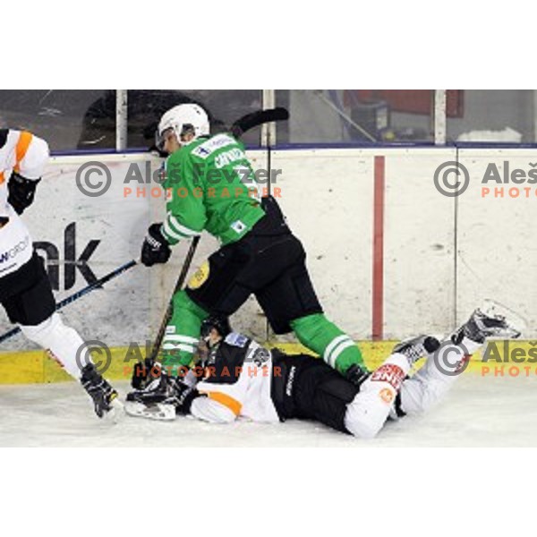 of Olimpija Ljubljana in action during ice-hockey match between Olimpija Ljubljana and Graz Moser Medical 99ers in EBEL league 2016/2017 in Tivoli Hall, Ljubljana, Slovenia on January 29, 2017