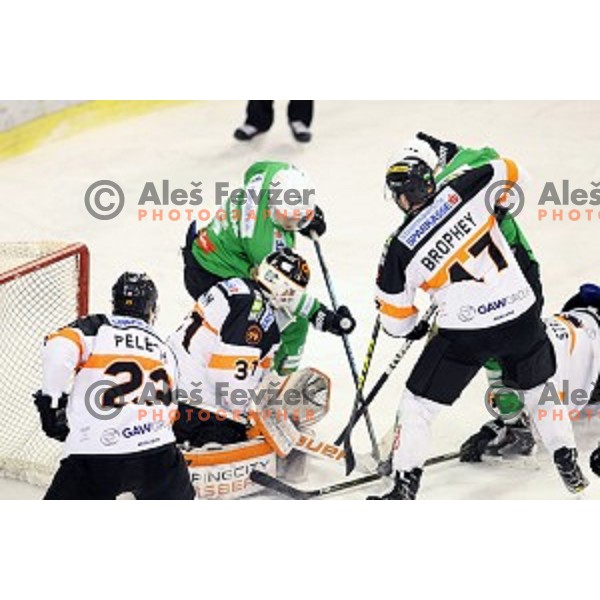 of Olimpija Ljubljana in action during ice-hockey match between Olimpija Ljubljana and Graz Moser Medical 99ers in EBEL league 2016/2017 in Tivoli Hall, Ljubljana, Slovenia on January 29, 2017