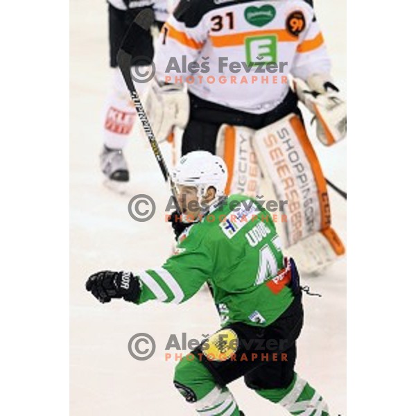 Aljaz Uduc of Olimpija Ljubljana celebrate goal during ice-hockey match between Olimpija Ljubljana and Graz Moser Medical 99ers in EBEL league 2016/2017 in Tivoli Hall, Ljubljana, Slovenia on January 29, 2017