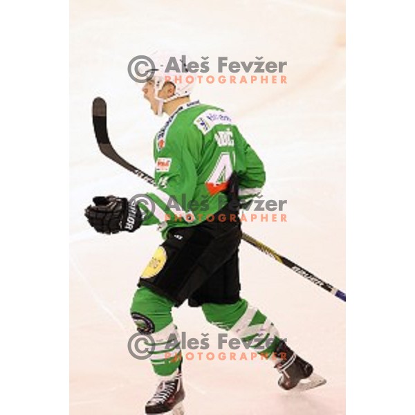 Aljaz Uduc of Olimpija Ljubljana celebrate goal during ice-hockey match between Olimpija Ljubljana and Graz Moser Medical 99ers in EBEL league 2016/2017 in Tivoli Hall, Ljubljana, Slovenia on January 29, 2017