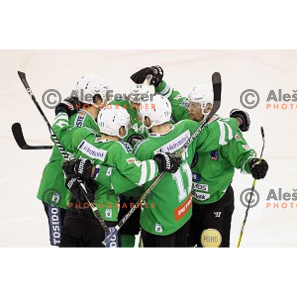 of Olimpija Ljubljana in action during ice-hockey match between Olimpija Ljubljana and Graz Moser Medical 99ers in EBEL league 2016/2017 in Tivoli Hall, Ljubljana, Slovenia on January 29, 2017