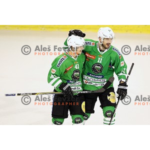 Aljaz Uduc of Olimpija Ljubljana celebrate goal during ice-hockey match between Olimpija Ljubljana and Graz Moser Medical 99ers in EBEL league 2016/2017 in Tivoli Hall, Ljubljana, Slovenia on January 29, 2017