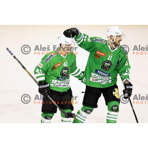 Aljaz Uduc of Olimpija Ljubljana celebrate goal during ice-hockey match between Olimpija Ljubljana and Graz Moser Medical 99ers in EBEL league 2016/2017 in Tivoli Hall, Ljubljana, Slovenia on January 29, 2017