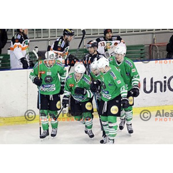 Aljaz Uduc of Olimpija Ljubljana celebrate goal during ice-hockey match between Olimpija Ljubljana and Graz Moser Medical 99ers in EBEL league 2016/2017 in Tivoli Hall, Ljubljana, Slovenia on January 29, 2017