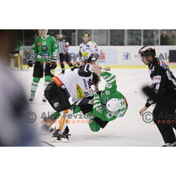 Miha Zajc of Olimpija Ljubljana in action during ice-hockey match between Olimpija Ljubljana and Dornbirn in EBEL league 2016/2017 in Tivoli Hall, Ljubljana, Slovenia on February 4, 2017