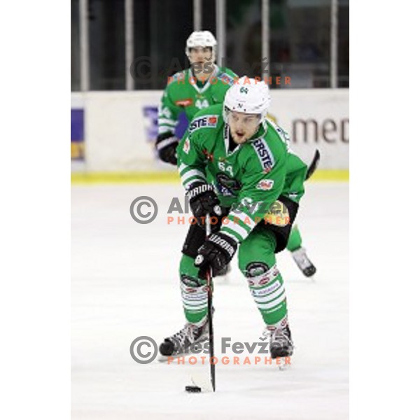 of Olimpija Ljubljana in action during ice-hockey match between Olimpija Ljubljana and Dornbirn in EBEL league 2016/2017 in Tivoli Hall, Ljubljana, Slovenia on February 4, 2017