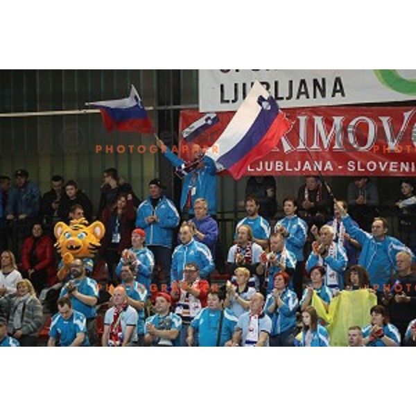 action during EHF Women\'s Champions league handball match between RK Krim Mercator and CSM Bucuresti in Kodeljevo Hall, Ljubljana, Slovenia on February 4, 2017
