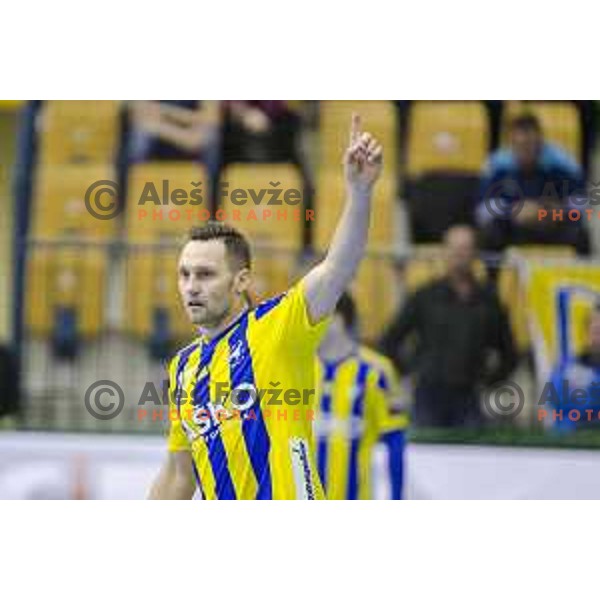 Celje’s Luka Zvizej (77) action during EHF Champions League match between Celje PL (Slovenia) and KS Vive Tauron Kielce (Poland) in Zlatorog Hall, Celje on February 11th, 2017 