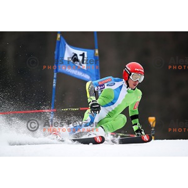 Zan Kranjec of Slovenia Ski team at practice session in Podkoren FIS slope in Kranjska gora, Slovenia on February 23, 2017