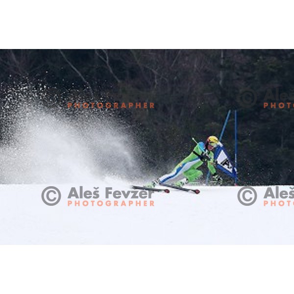 Stefan Hadalin of Slovenia Ski team at practice session in Podkoren FIS slope in Kranjska gora, Slovenia on February 23, 2017