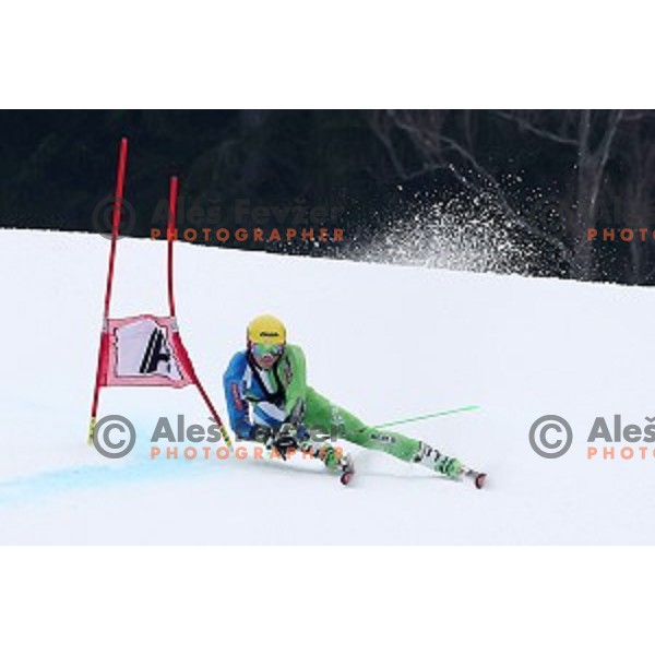 Stefan Hadalin of Slovenia Ski team at practice session in Podkoren FIS slope in Kranjska gora, Slovenia on February 23, 2017