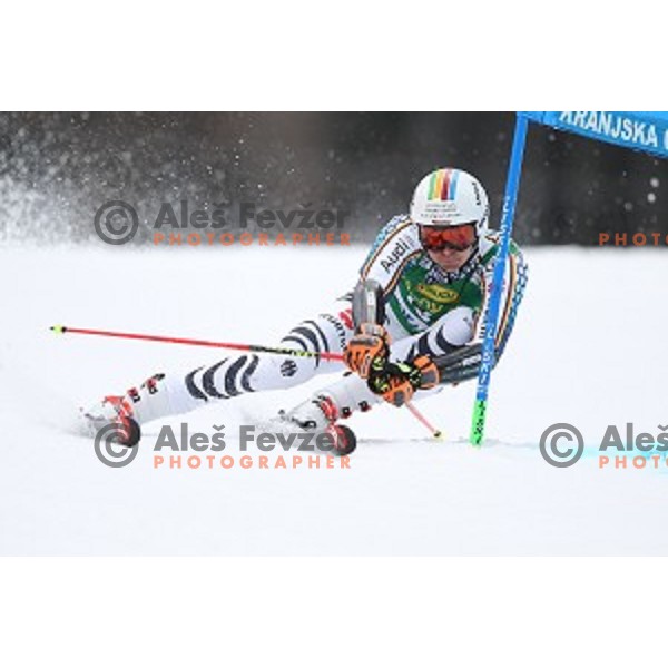 skiing in the first run of AUDI FIS Ski World Cup Giant Slalom for 56.Vitranc Cup in Kranjska gora, Slovenia on March 4, 2017