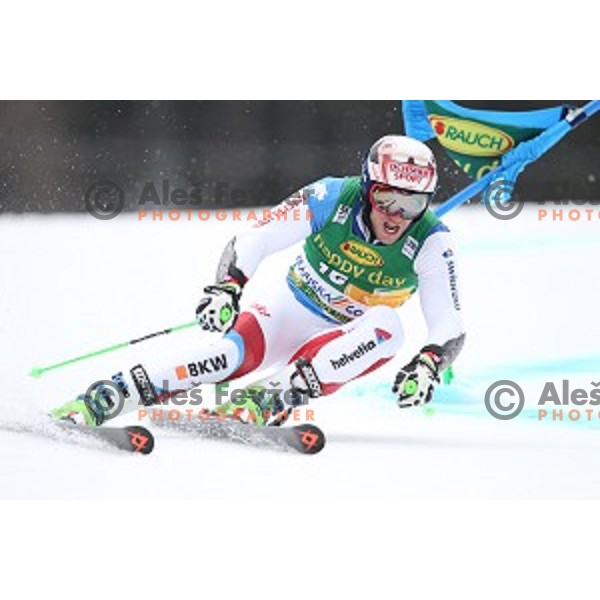 skiing in the first run of AUDI FIS Ski World Cup Giant Slalom for 56.Vitranc Cup in Kranjska gora, Slovenia on March 4, 2017