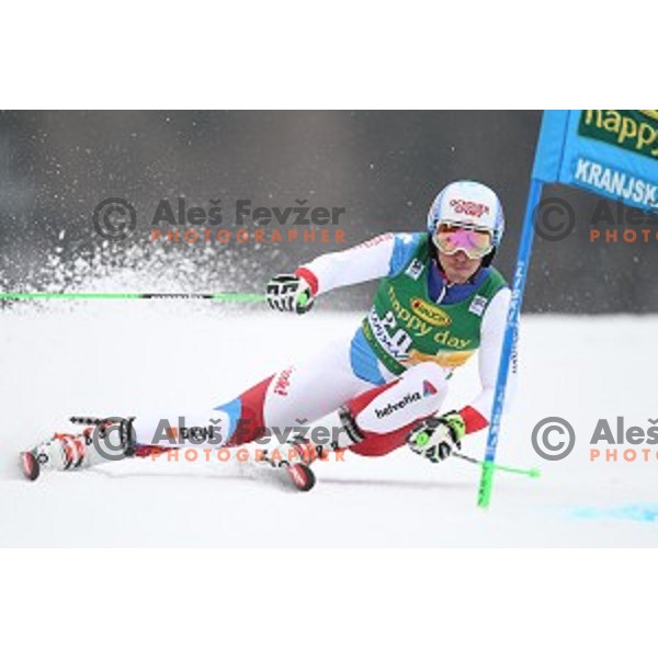 skiing in the first run of AUDI FIS Ski World Cup Giant Slalom for 56.Vitranc Cup in Kranjska gora, Slovenia on March 4, 2017