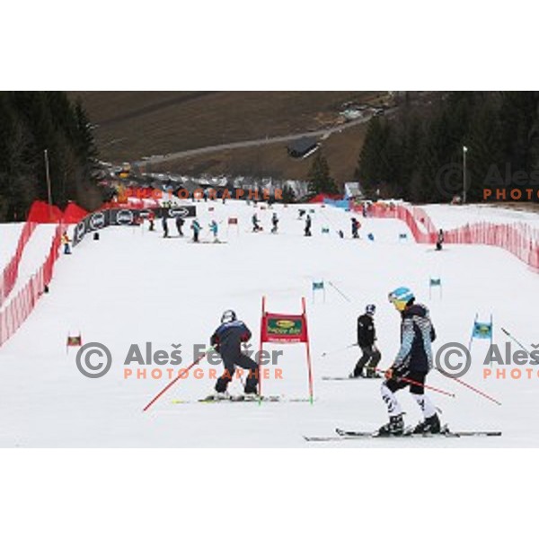 Course inspection before first run of AUDI FIS Ski World Cup Giant Slalom for 56.Vitranc Cup in Kranjska gora, Slovenia on March 4, 2017
