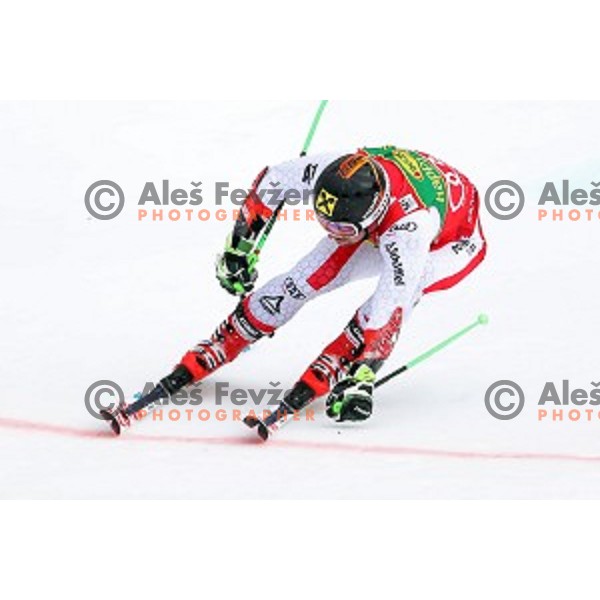 Marcel Hirscher (AUT), winner of AUDI FIS Ski World Cup Giant Slalom for 56.Vitranc Cup in Kranjska gora, Slovenia on March 4, 2017