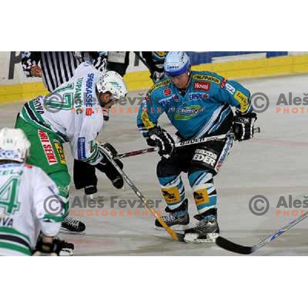 Zupancic and Shearer (19) at ice-hockey match ZM Olimpija- Black Wings Linz in EBEL league, played in Ljubljana 28.10.2007. Photo by Ales Fevzer 