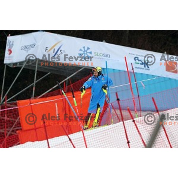 Course inspection before first run of AUDI FIS Ski World Cup Slalom for 56.Vitranc Cup in Kranjska gora, Slovenia on March 5, 2017