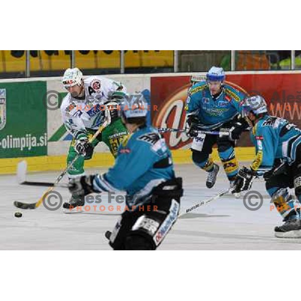 Zupancic at ice-hockey match ZM Olimpija- Black Wings Linz in EBEL league, played in Ljubljana 28.10.2007. Photo by Ales Fevzer 