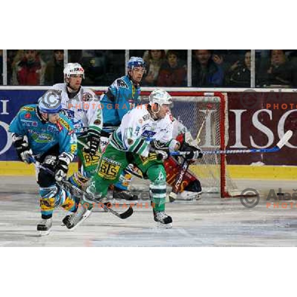 McCarthy at ice-hockey match ZM Olimpija- Black Wings Linz in EBEL league, played in Ljubljana 28.10.2007. Photo by Ales Fevzer 