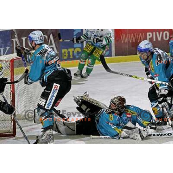 Penker in action at ice-hockey match ZM Olimpija- Black Wings Linz in EBEL league, played in Ljubljana 28.10.2007. Photo by Ales Fevzer 