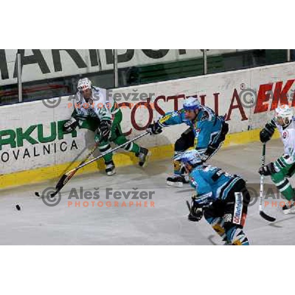 Vnuk (24) at ice-hockey match ZM Olimpija- Black Wings Linz in EBEL league, played in Ljubljana 28.10.2007. Photo by Ales Fevzer 