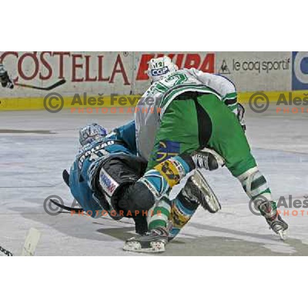 Groleau and Jardine at ice-hockey match ZM Olimpija- Black Wings Linz in EBEL league, played in Ljubljana 28.10.2007. Photo by Ales Fevzer 